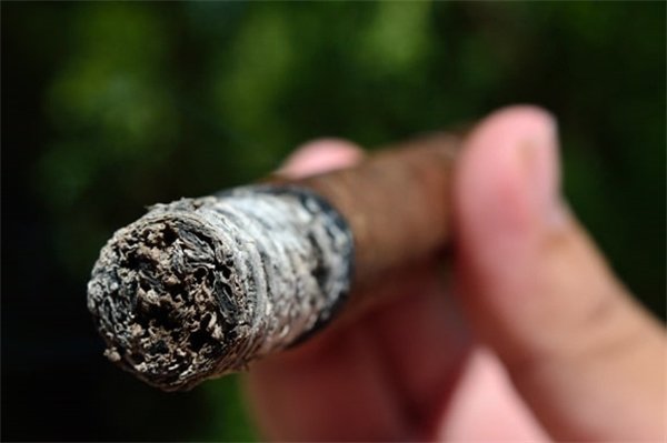 What is ROBUSTO Cigar?